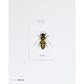 Postkaart 'Bee'