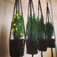 Zwarte macramé hanger
