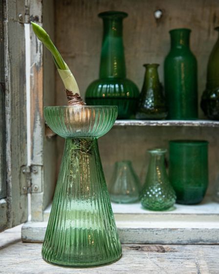 Vaasje hyacint (S) - groen