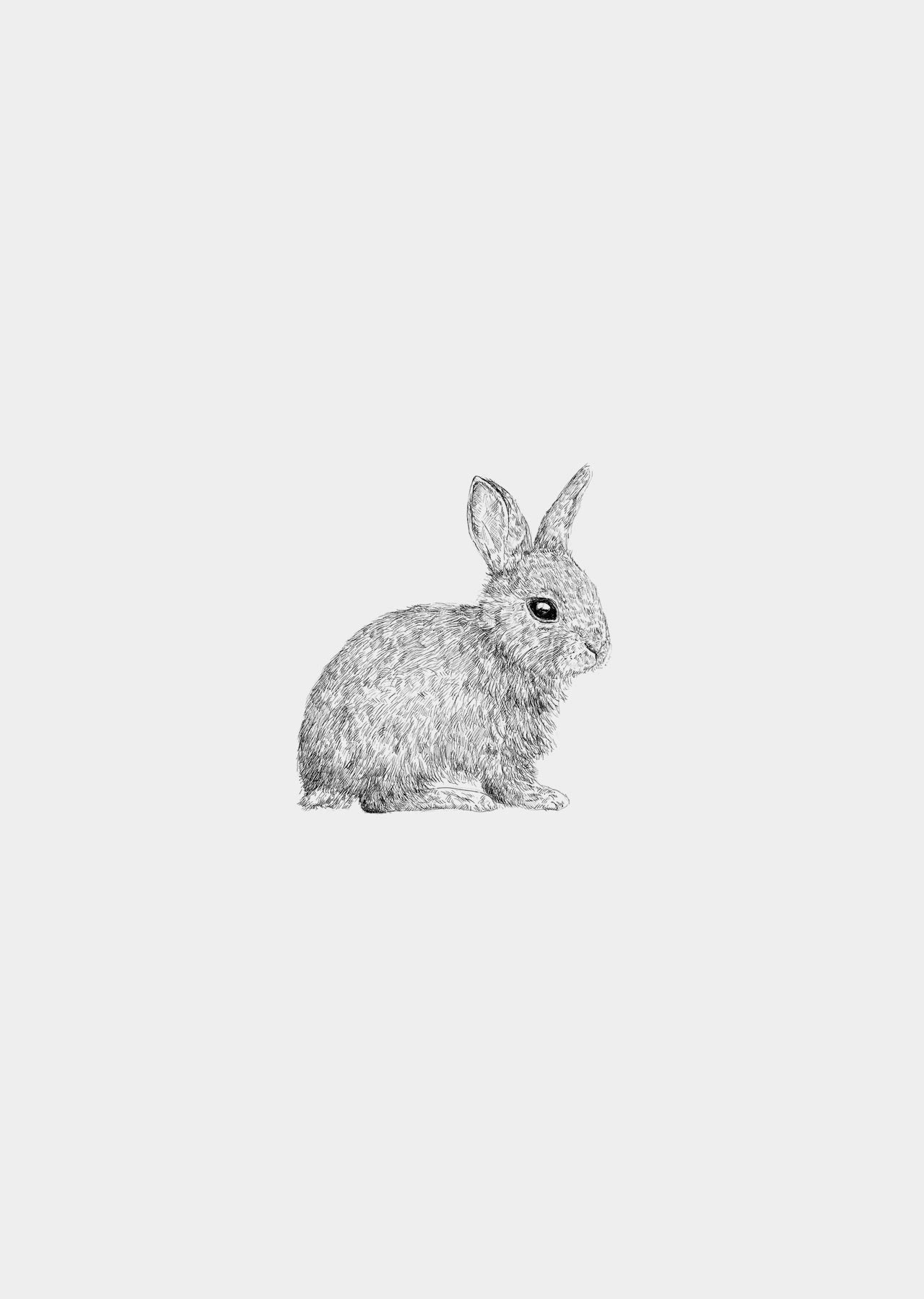 Muursticker - konijntje (zwart-wit)