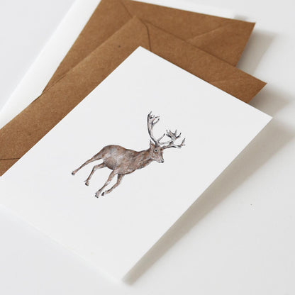 Postkaart 'Edelhert'